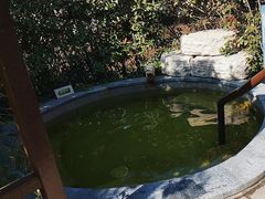 -大千天鹅湾温泉
