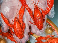 -虾乐园龙虾·夜宵(松江店)