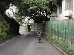 -重庆彩云湖湿地公园