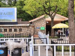 -上海共青森林公园