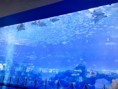 -成都浩海立方海洋公园