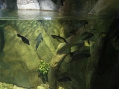 -福州罗源湾海洋世界旅游区