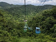 -野象谷景区