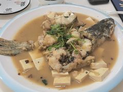 -煲来饱去冷水鱼