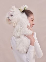 -Mregina 美人纪摄影(样片研发中心)