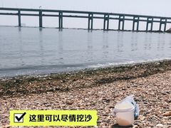 -黑石礁公园