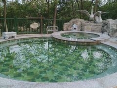 android_upload_pic-金隅凤山酒店