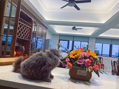 -鹤菊怀石料理(江北店)