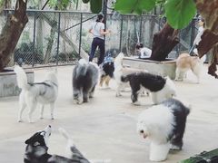 -TrueLove @ Neverland (Husky Cafe)