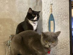 -么么咖啡(燕郊店)