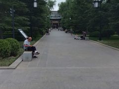 -迎泽公园