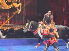 -珠海横琴长隆《卡卡虎奇遇记》