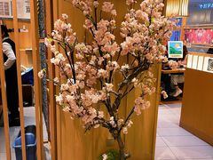 -胜博殿日式炸猪排(悠唐店)