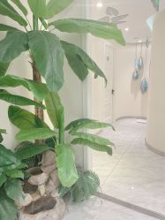 -健身堂科技美肌SPA