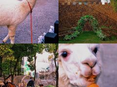 -J Create城市露营咖啡·简餐·宠物(上海动物园店)