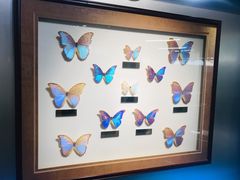 -上海昆虫博物馆