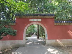 -灵谷景区