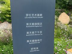 -罗红摄影艺术馆