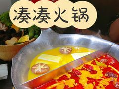 红颜花胶鸡锅-湊湊火锅·茶憩(石家庄万象城店)