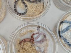 -上海长风大悦城