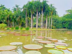 -中国科学院西双版纳热带植物园