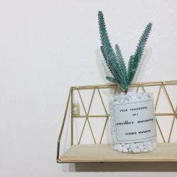 -尔素·半永久纹眉·野生眉