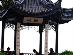 -贡湖湾湿地公园