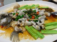 鲜花椒蒸桂花鲈-猪肉婆私房菜(容桂总店)