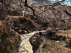 -崂山九水游览区