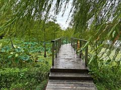 -昆山城市生态森林公园