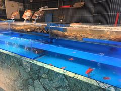 -海底捞火锅(长宁路龙之梦店)