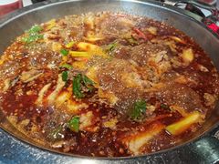 红锅锅底-蜀滋香鲜鱼美蛙火锅(339店)