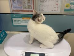 -虹泰宠物医院 ·旗舰店·24h(南秀路店)