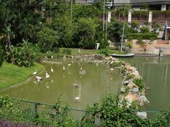 -石排湾郊野公园