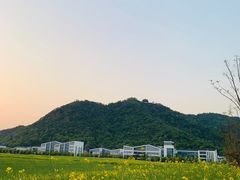 -湘湖金融镇