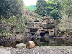 -潜山国家森林公园