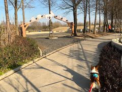 -太阳岛度假酒店