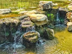 -白水寺森林公园