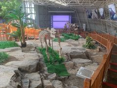 -中国第四纪冰川遗迹陈列馆