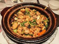 沙姜啫鸡-煲煲好(朝阳门店)