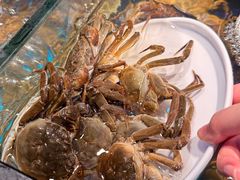 -苏格里岛自助烤肉海鲜火锅(成都金牛万达店)