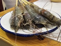 -费明中罗非鱼(大石坝店)