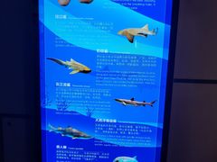 -广州海洋馆