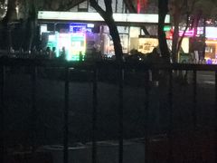 -枫花园汽车电影院(朝阳公园店)
