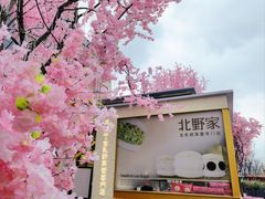 -首开·龙湖成都西宸天街