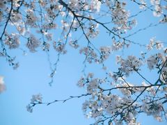 -龙美术馆西岸馆-停车场