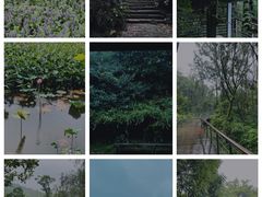 -西湖风景区-江洋畈生态公园