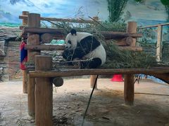 -西霞口神雕山野生动物世界