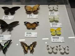 -四川大学博物馆