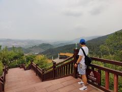 -铁山坪森林公园